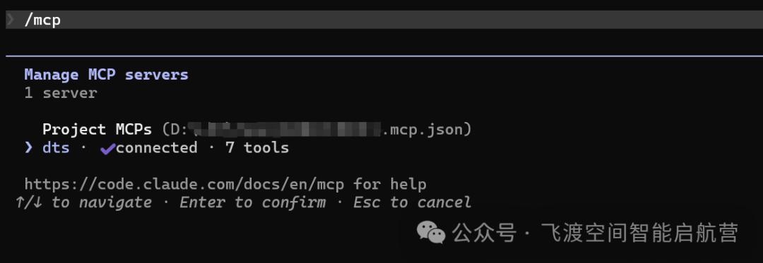 /mcp 命令显示 dts 已连接(7 tools)